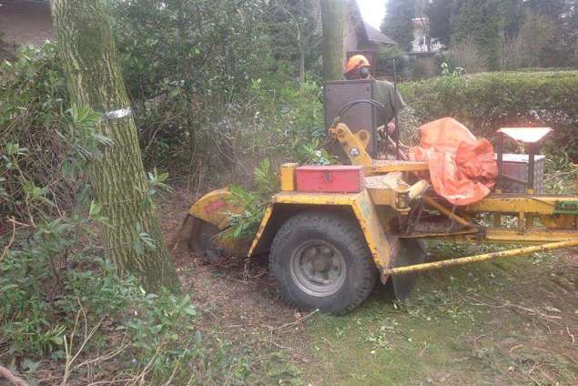 Uitfrezen van stobbe  in Berkel Enschot